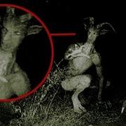 10 Паранормальных Явлений В Прямом Эфире Twitch