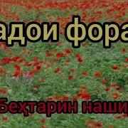 Нашиды По Таджикиский