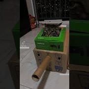 Кот Танкист Прикол С Котом