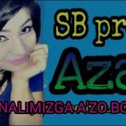 Azal Erkak Manalog
