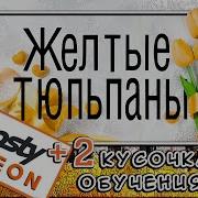Желтые Тюльпаны Пианино