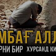 Камбагаллар Сизларни Бир Хурсанд Килайми