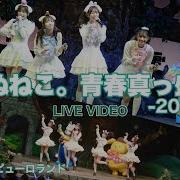 2022年11月20日開催 男子禁制 わーすた女子パーティー Inサンリオピューロランド のライブ映像をお届け ライブ会場 サンリオピューロランド フェアリーランドシアター 出演キャラクター シナモロール マイメロディ ポムポムプリン ポチャッコ 2022 Sanrio Co Ltd Approval