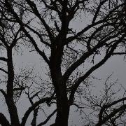 Another Love But It S Double Layered Version Slowed Thunderstorm Sound