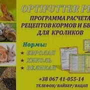 Программа Расчета Рецептов Кормов Для Кроликов Optifutter Pro 1 0