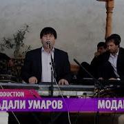 Маҳмадали Умар Модар