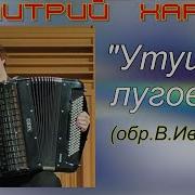 Утушка Луговая Играет На Баяне