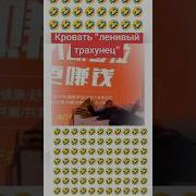 Ленивые Трахунцы Прикол