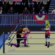 Wwf Wrestlemania Arcade Sega Mega Drive Genesis