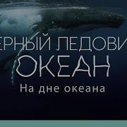 Тайны Ледовитого Океана