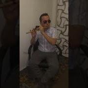 Навои Най Кулоби