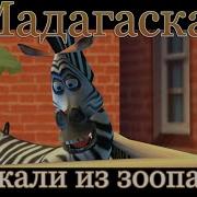 Мажагаскар Сбежали Из Зоопарка
