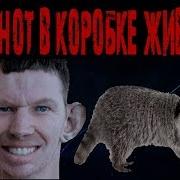 Глад Валакас А Енот В Коробке Живёт