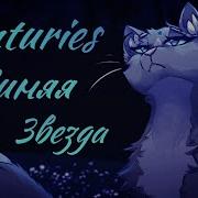 Синяя Звезда Клип Коты Воители Daniela Centuries