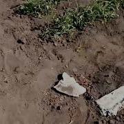 В Подмосковье Водятся Лещи Маска