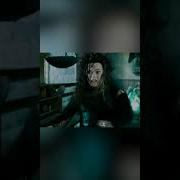 Black Bird Bellatrix Va Into The Fire