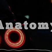 Anatomy Nextro