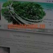 Янина Маг И Ясновидящая Отзывы