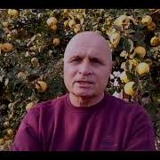 Жизнь Похожа На Позднюю Осень Годы С Дерева Жизни Летят