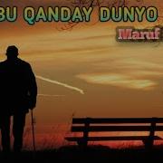 Maruf Bozorov Bu Qanday Dunyo Mp3