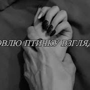Я Ловлю Птичку Взглядом Тик Ток