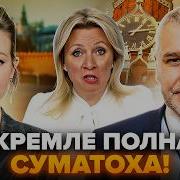 Донольт Дак За Деньги Да