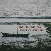 Вольгаст На Камнях Растут Деревья