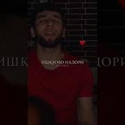 Мара Кштай Гамот Хисори Дхта Бо Гитара
