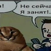 Не Сейчас Я Занят