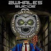 Suicide 2Whales