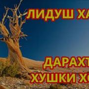 Узум Дахтанд Дарахт