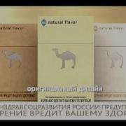 Реклама Сигарет Camel Natural Flavor Cigarette Commercial