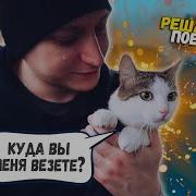 Спасение Котика С Раной На Шее Решающая Поездка Sani Vlog