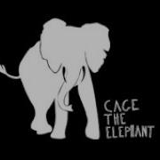 Cage The Elephant Ain T No Rest For The Wicked Lyrics