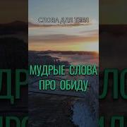 Как Обиды Нам Прощать
