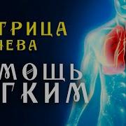 Частота От Алкоголя