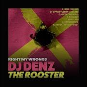 Tokyo Skyline Dj Denz The Rooster