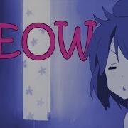 Meow K On Amv