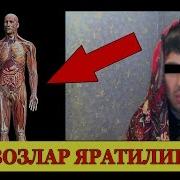 Бачавозларнинг Яратилиши Буларга Ким Айбдор