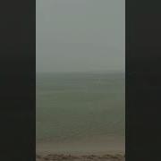 Дождь На Море