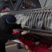 Региональный Чемпионат Молодые Профессионалы
