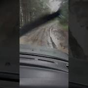 Ну Вот Я Еду Опять