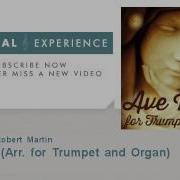 Ave Maria Arr For Trumpet And Organ