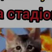 Сидимо Ми З Кумом На Футболі