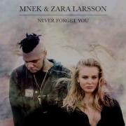 Зара Ларсон Never Forget You Instrumental