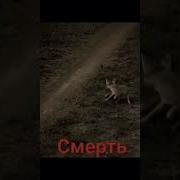 Ина Лилахи Ва Инна Иллахи Раджиун