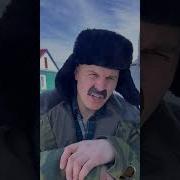 Петрович Пропелер