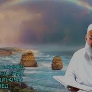 Занхо Пеш Аз Ислом