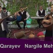 Ramin Qarayev Nargile Mehtiyeva