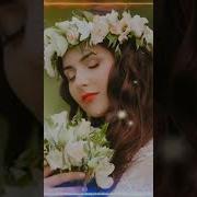 Вот Сборник Обалденные Красивые Песни Для Души Песни Очень Красивые О Любви 2025